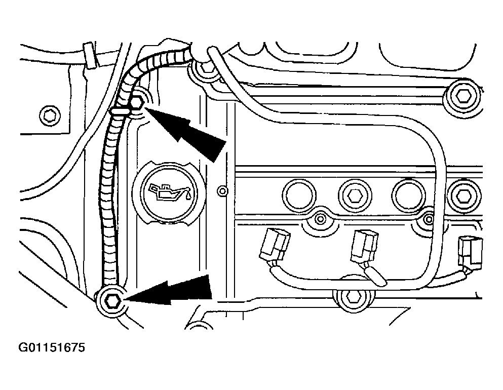 G01151675