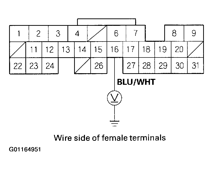 G01164951