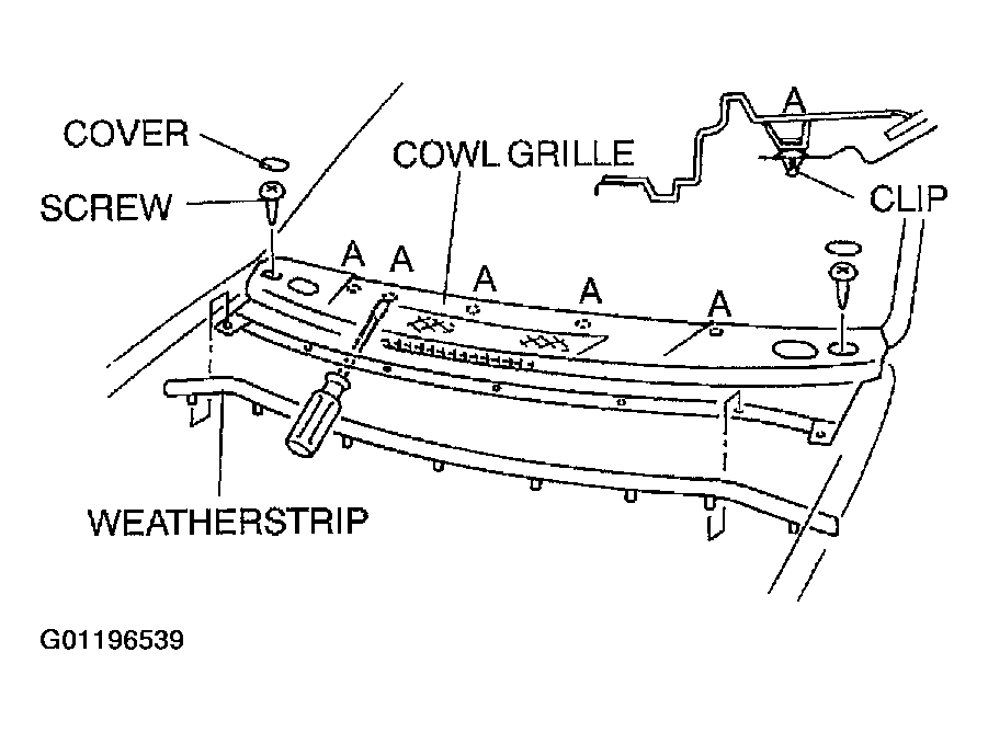 G01196539