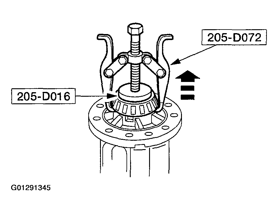G01291345