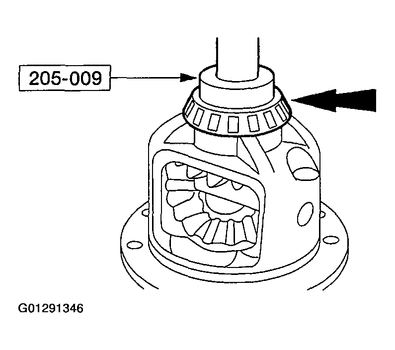 G01291346