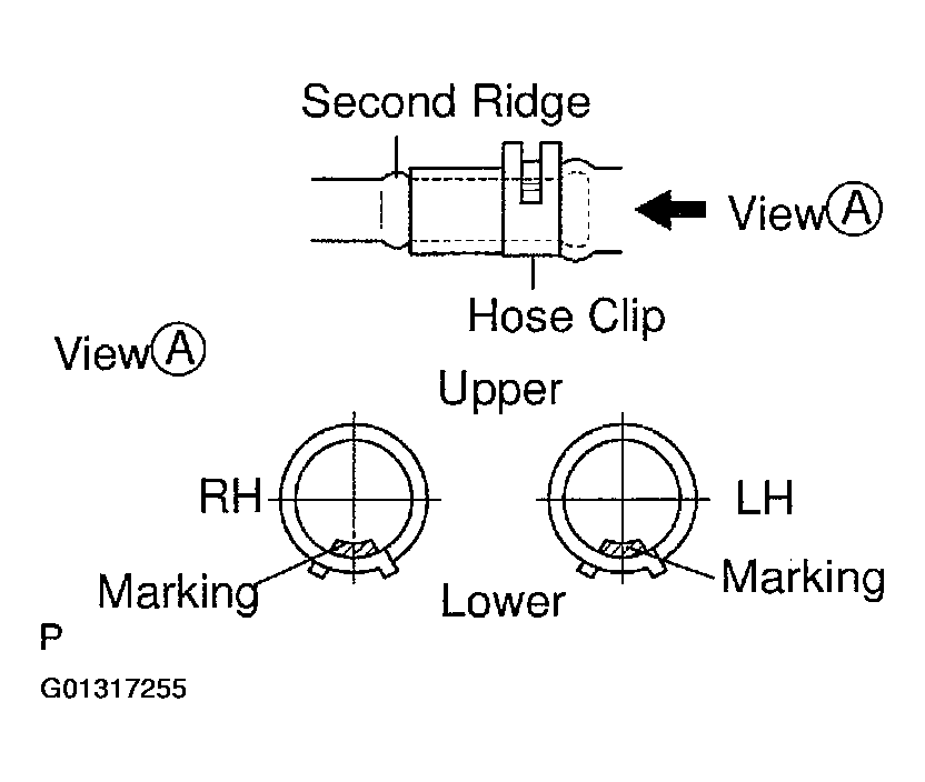 G01317255