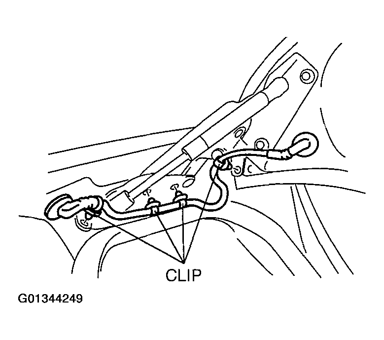 G01344249