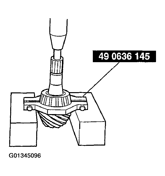 G01345096