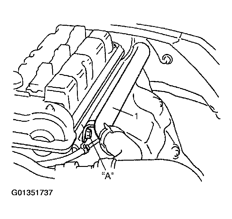 G01351737