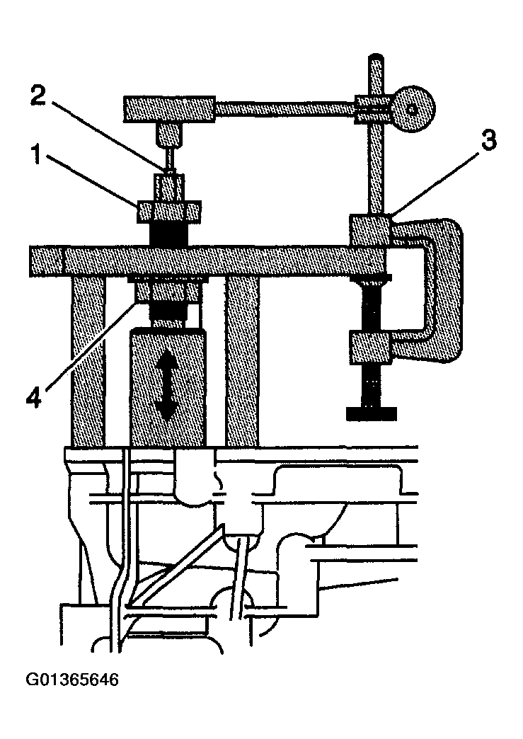 G01365646