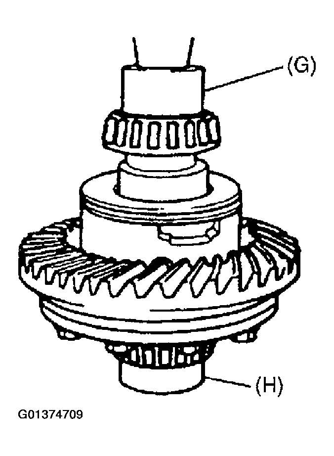 G01374709