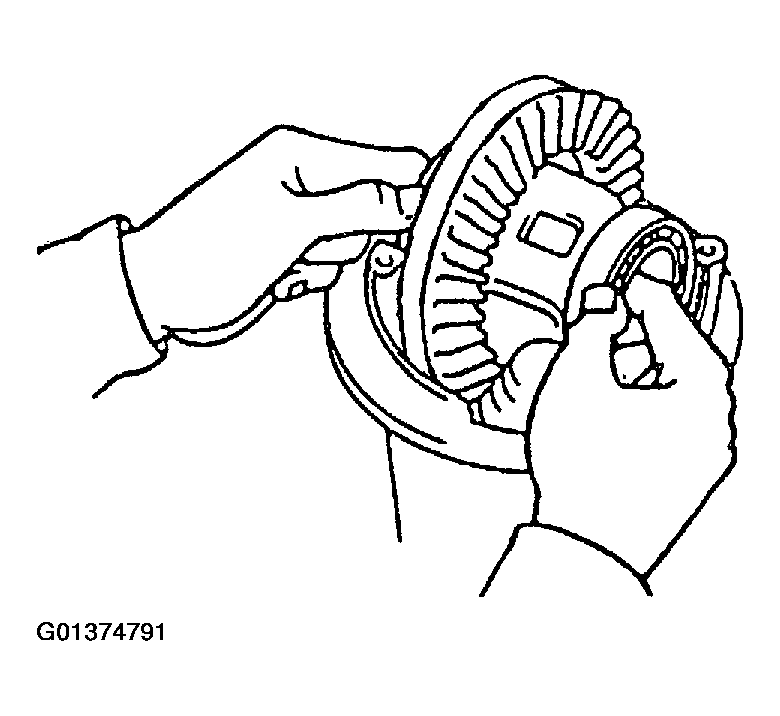 G01374791