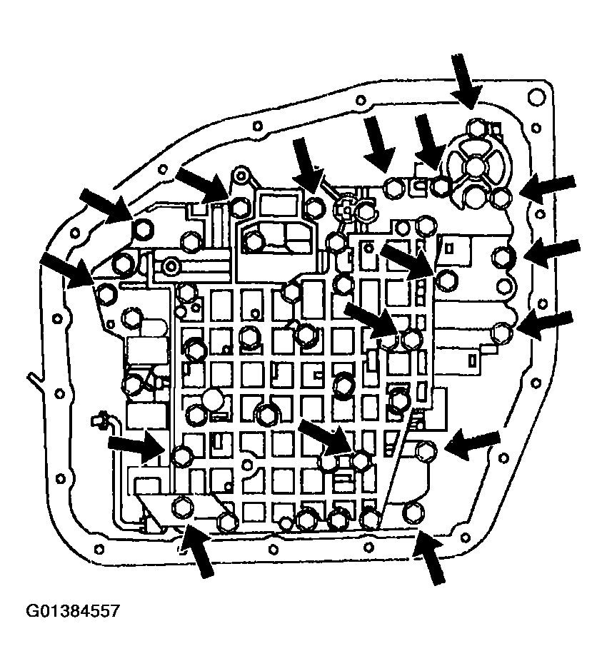 G01384557