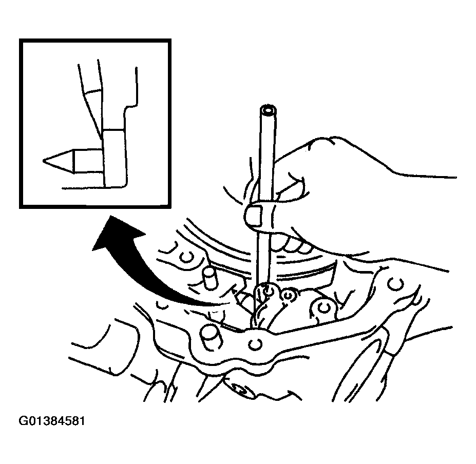G01384581