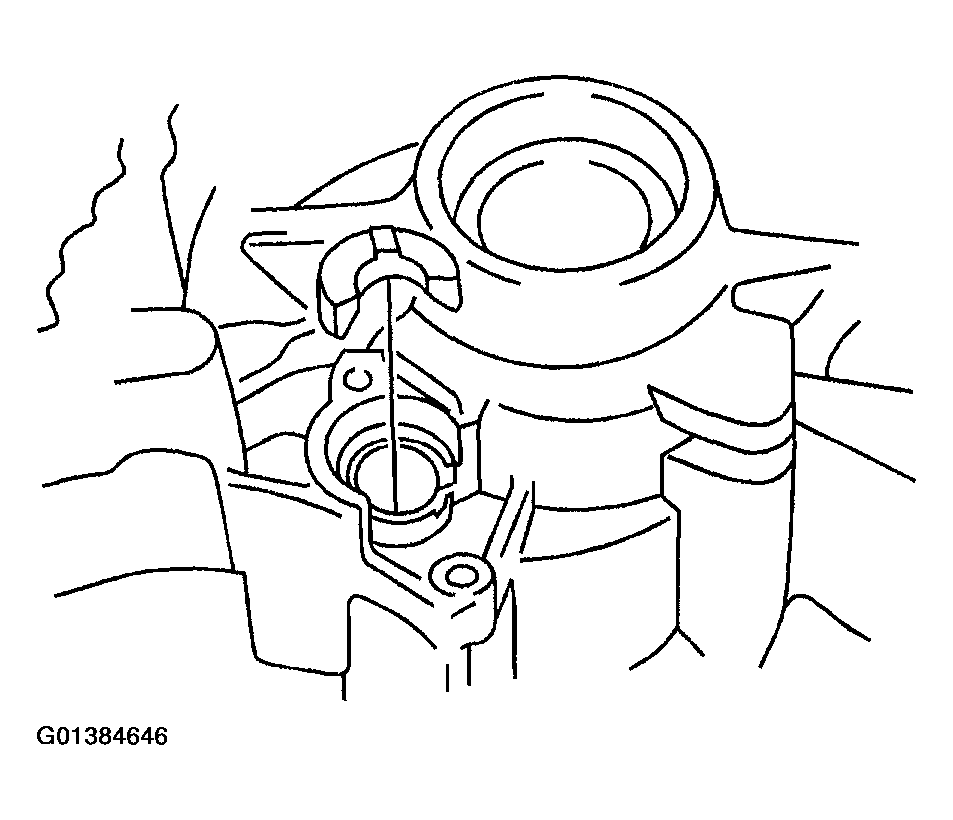 G01384646