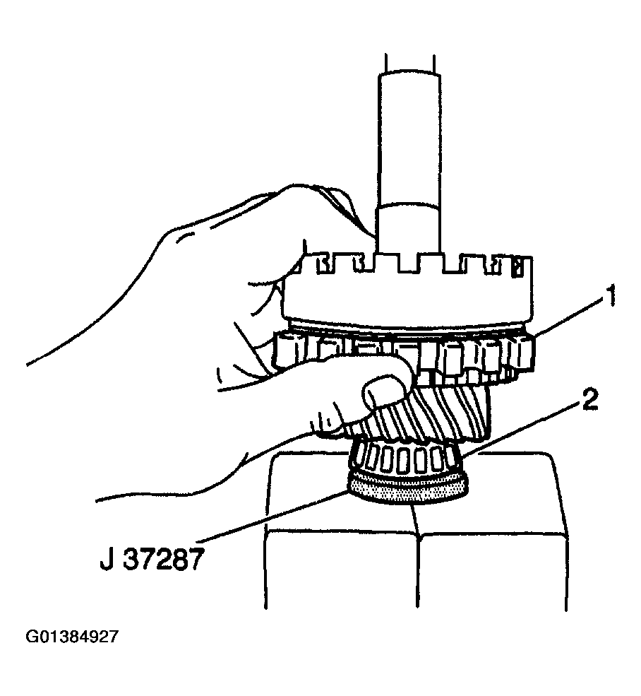 G01384927