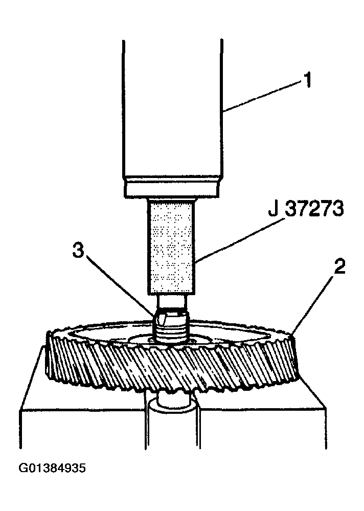 G01384935