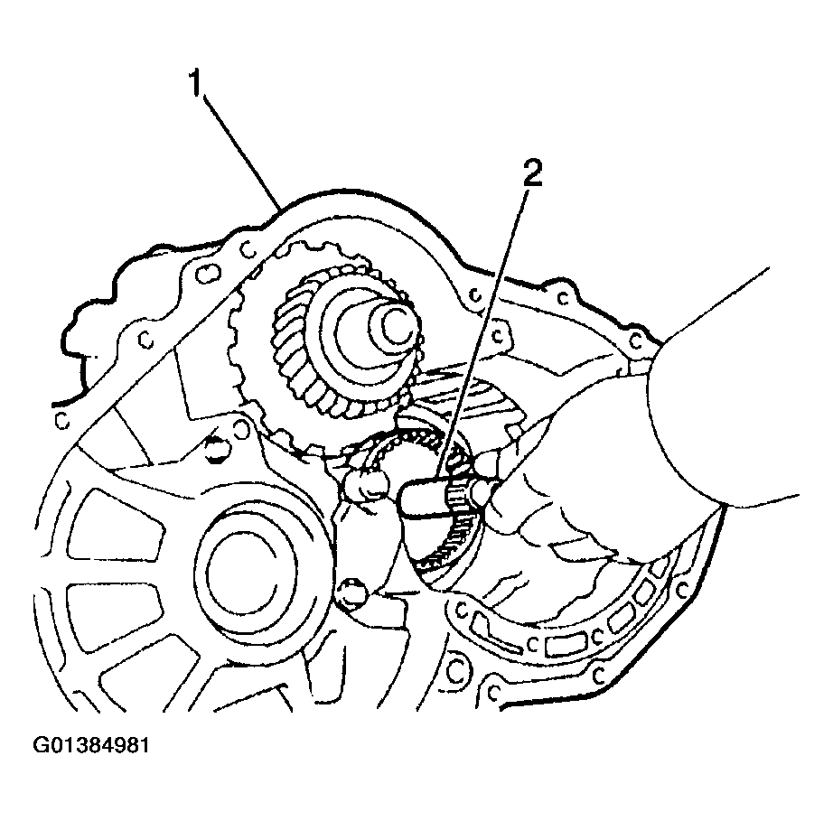 G01384981