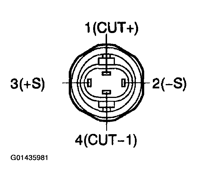 G01435981