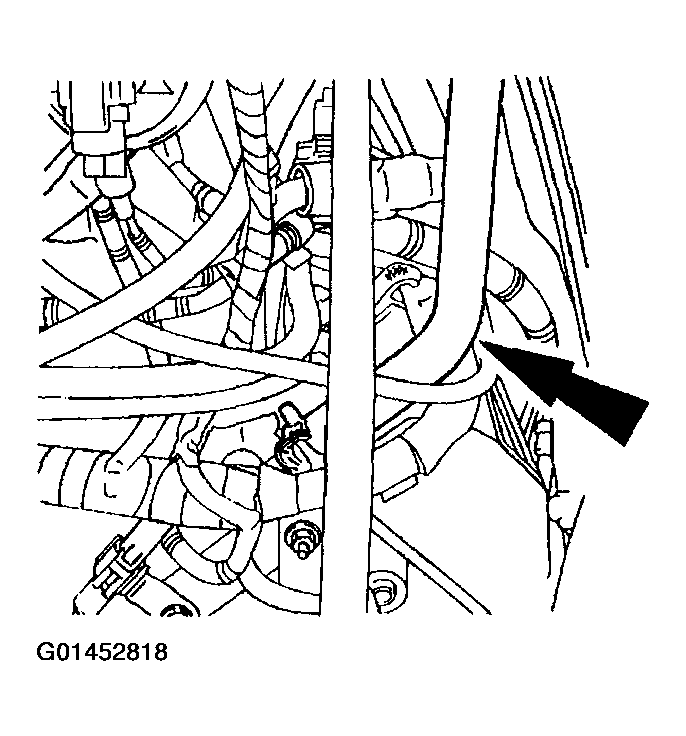 G01452818