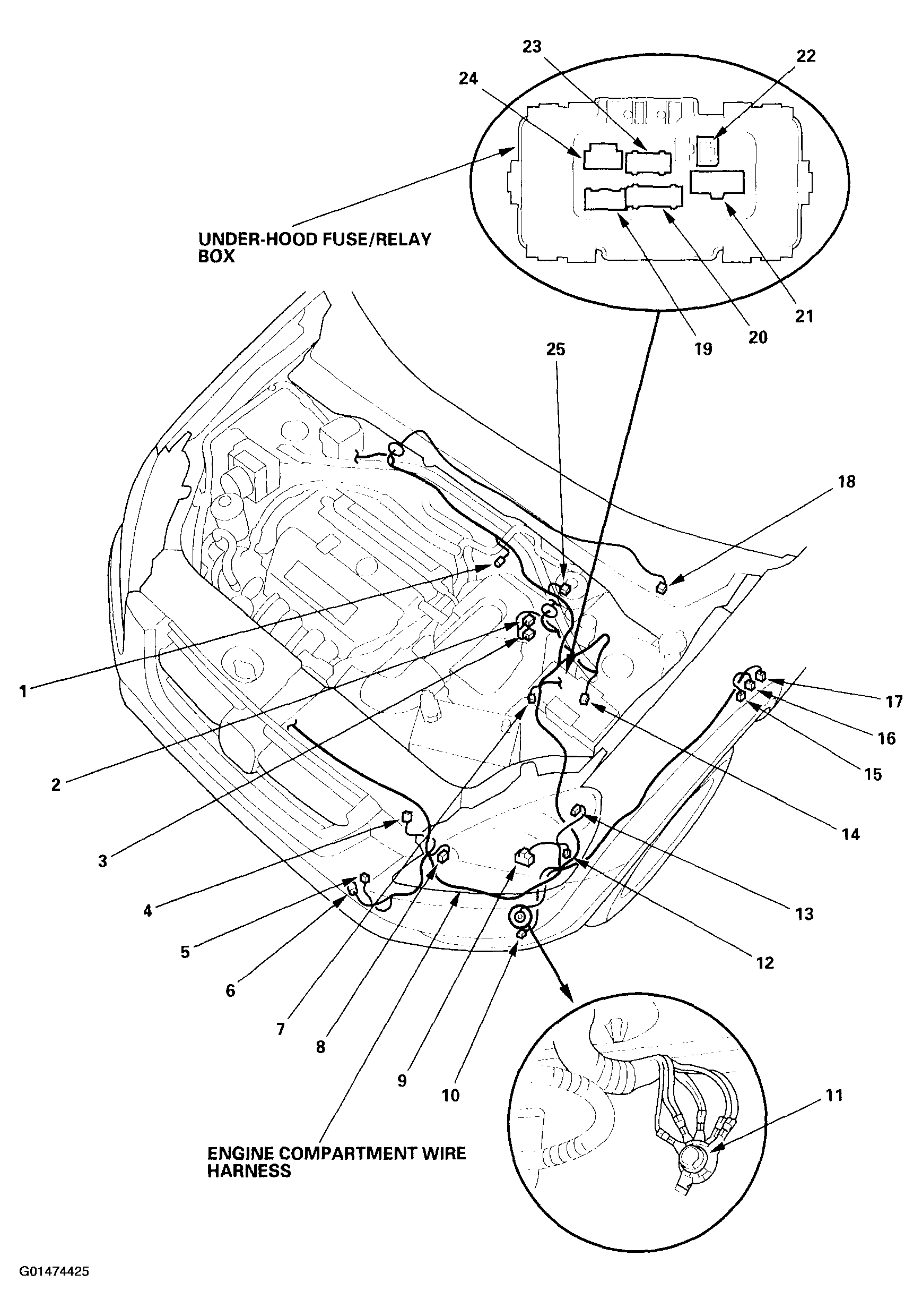 G01474425