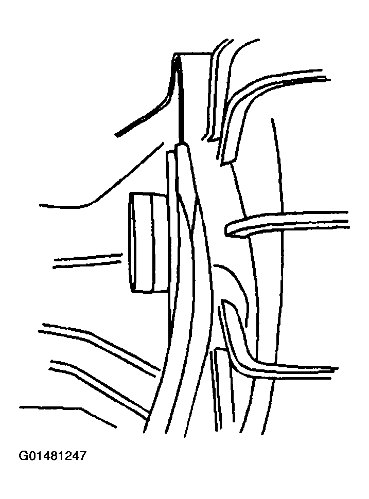 G01481247