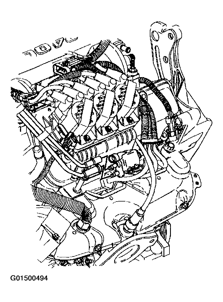G01500494