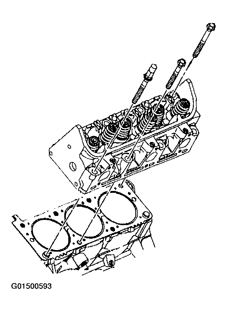 G01500593
