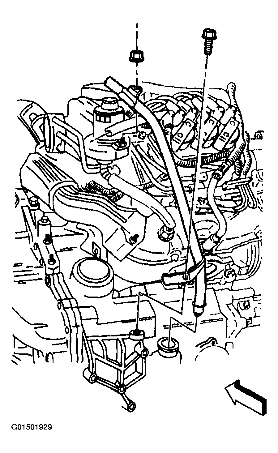 G01501929