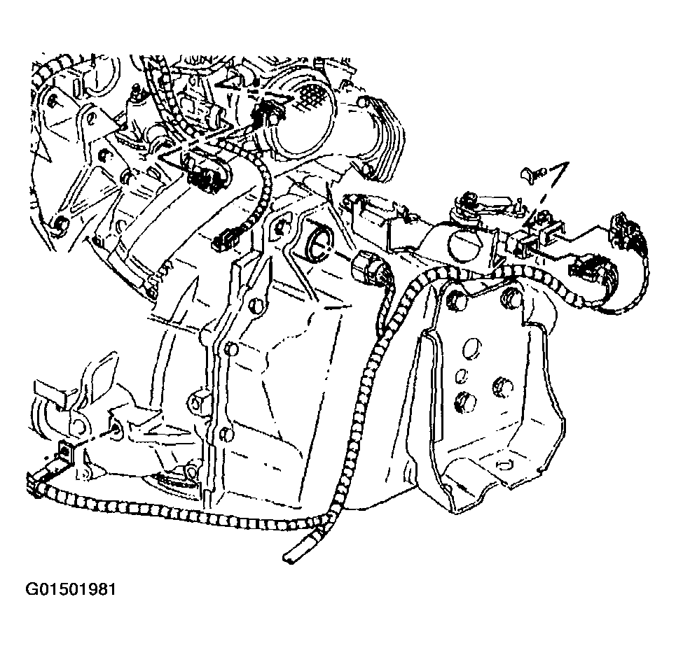 G01501981