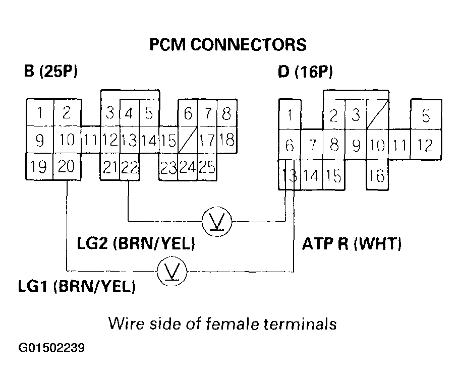 G01502239