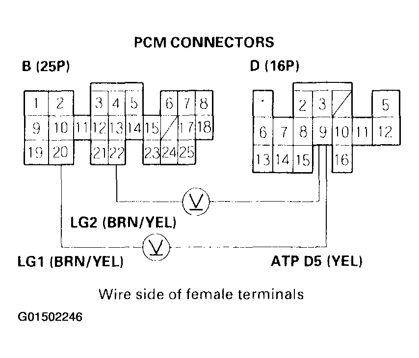 G01502246