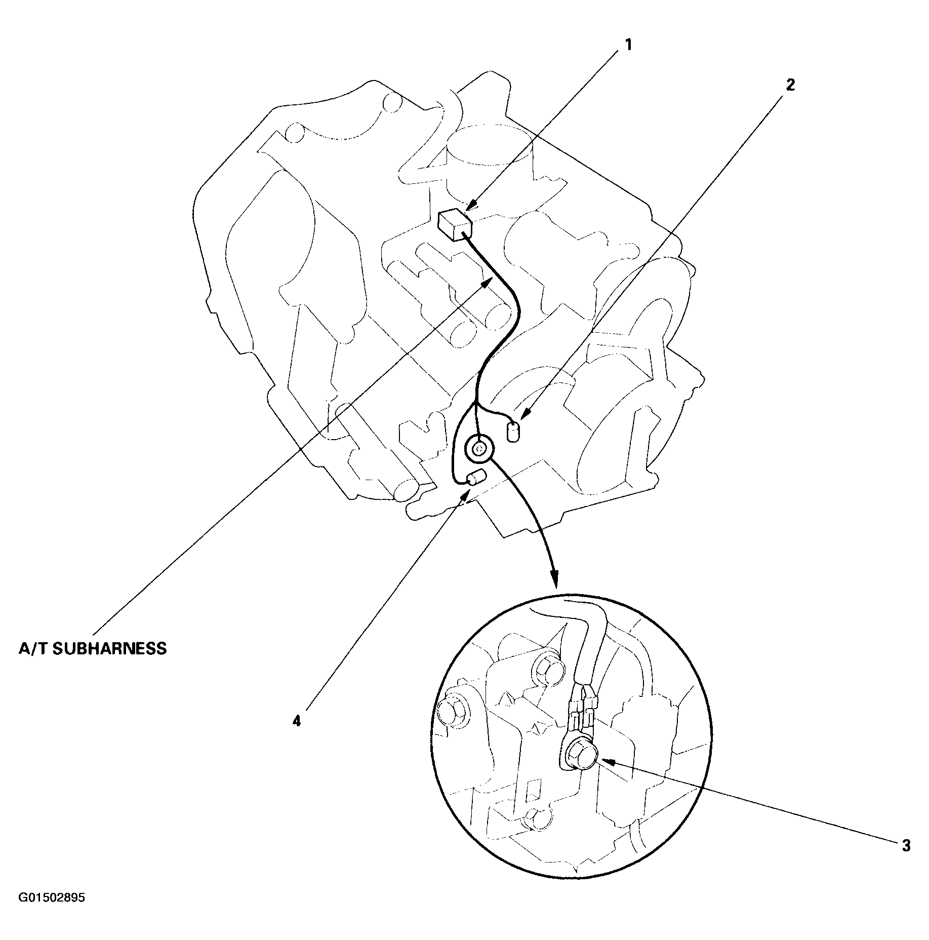 G01502895
