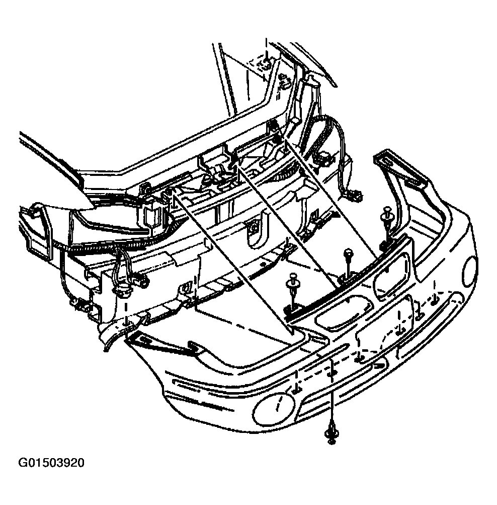 G01503920