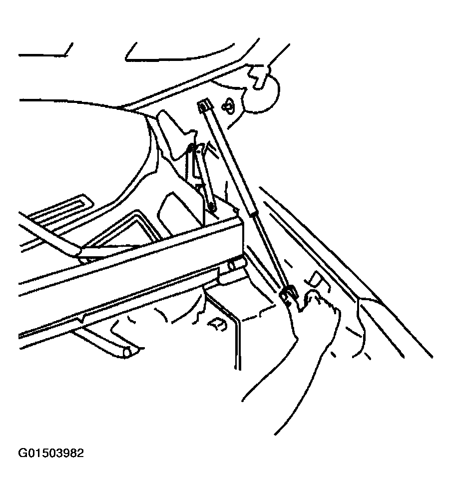 G01503982
