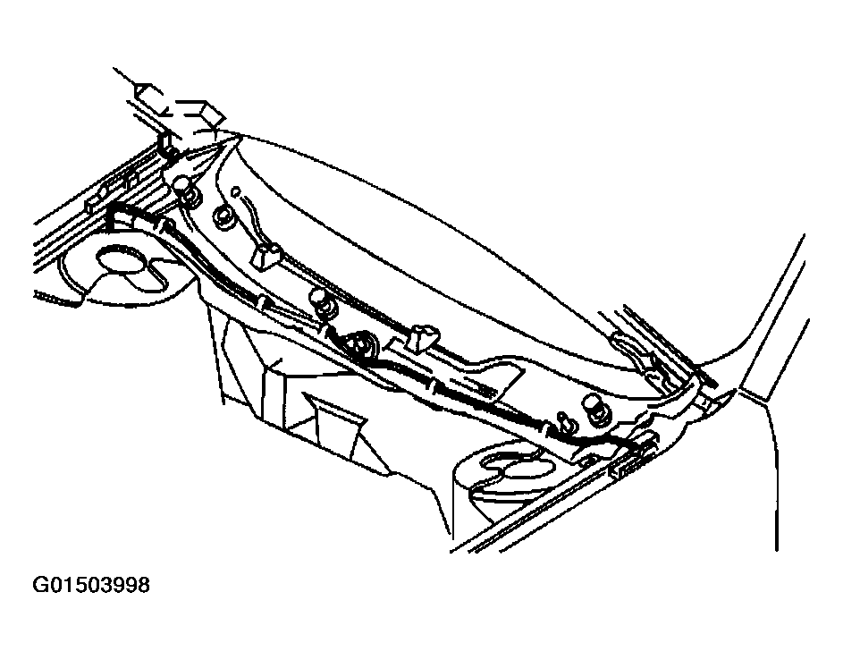 G01503998