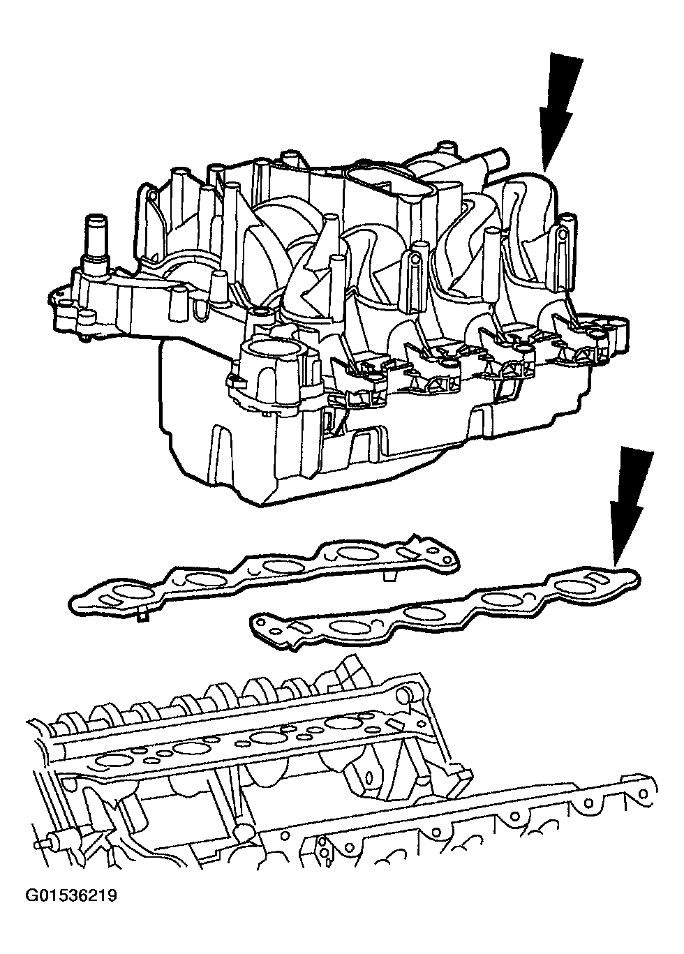 G01536219