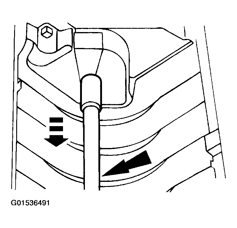 G01536491