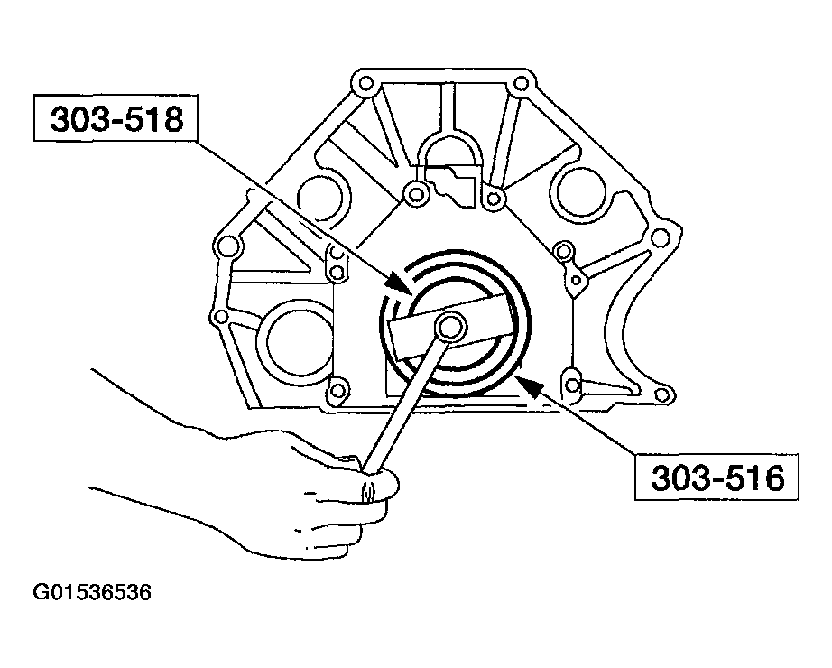 G01536536