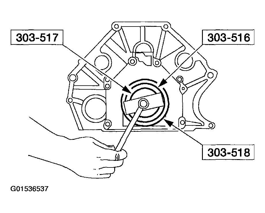 G01536537