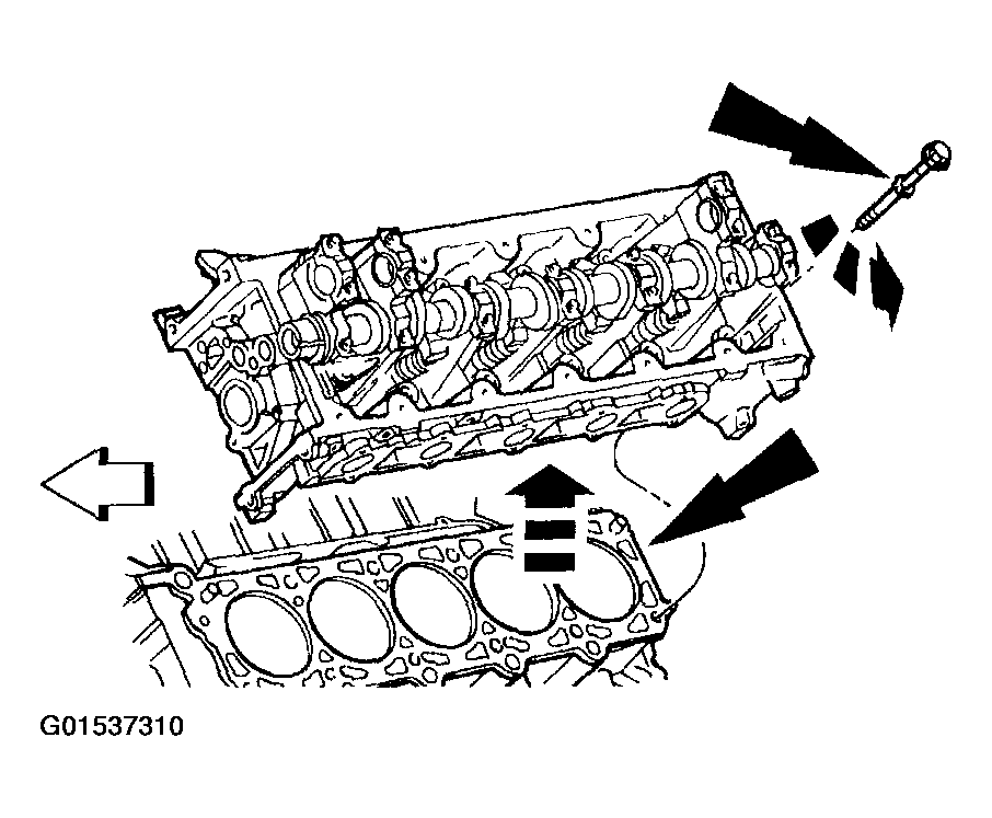 G01537310