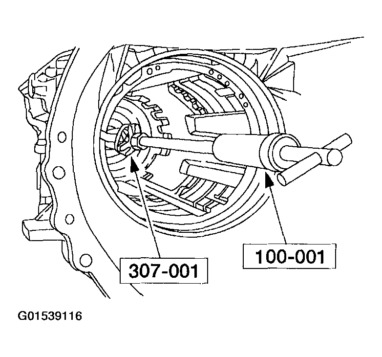 G01539116