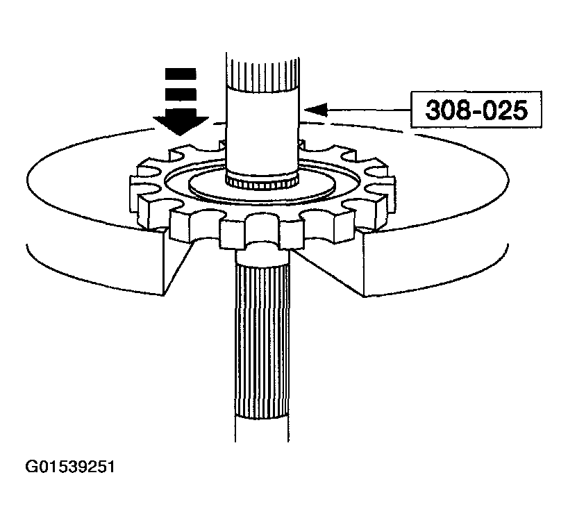 G01539251