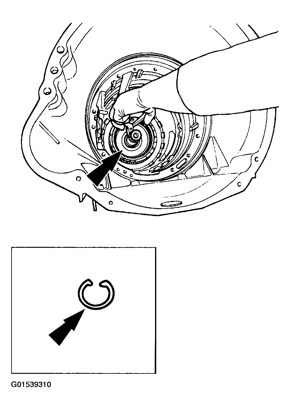G01539310
