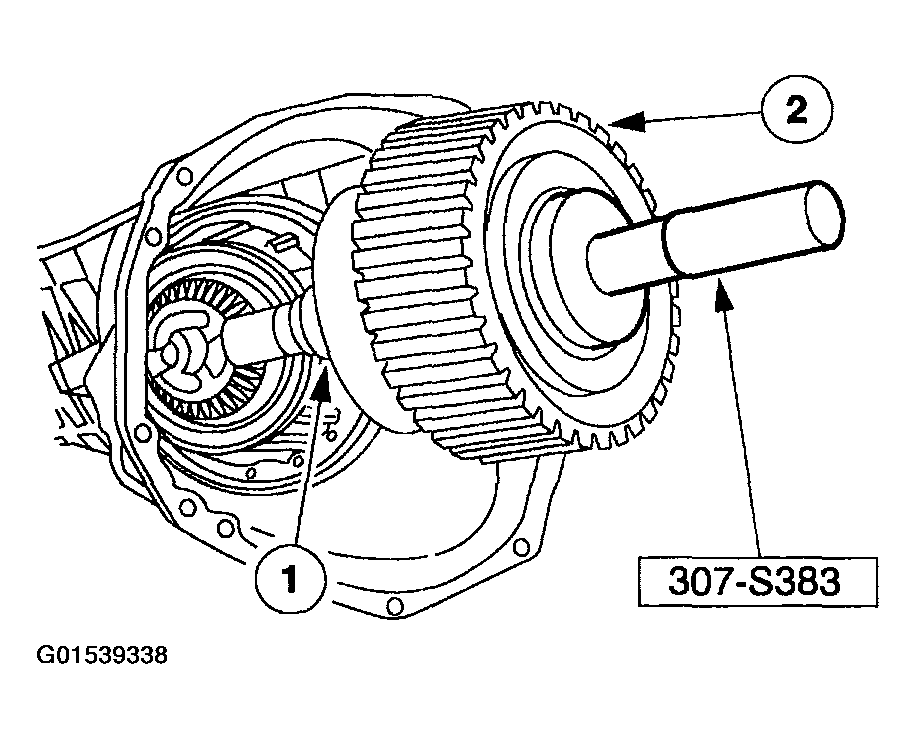 G01539338