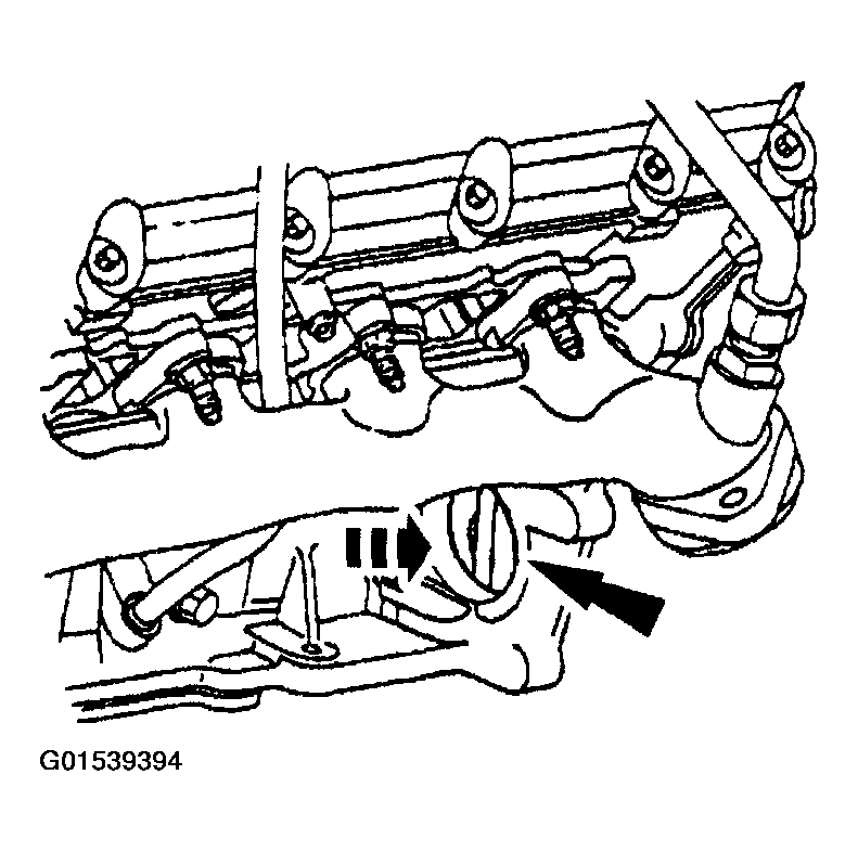 G01539394