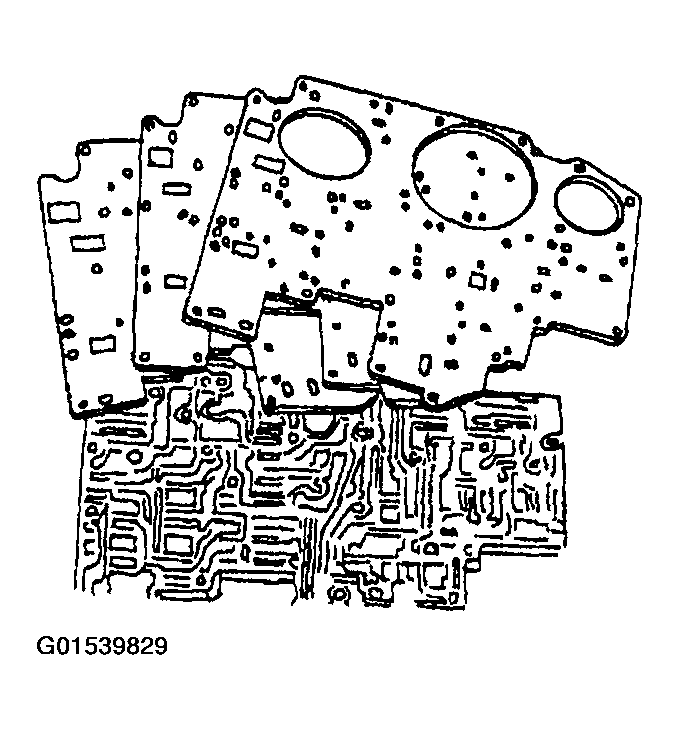 G01539829