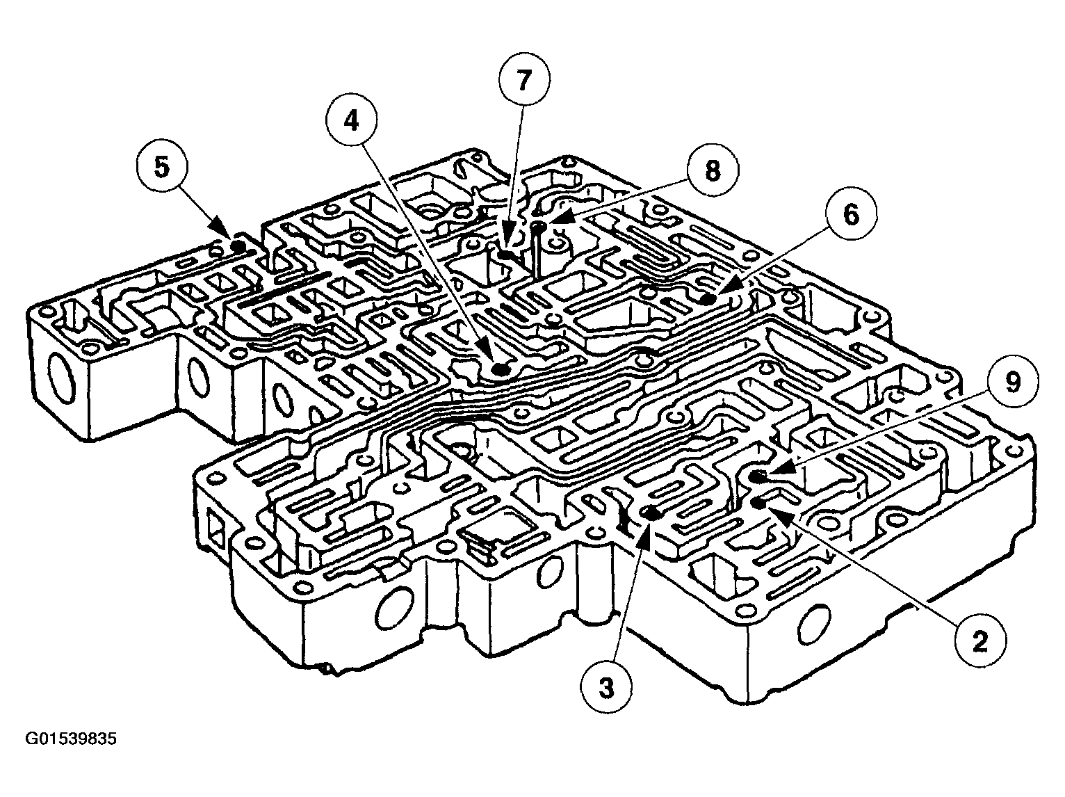 G01539835