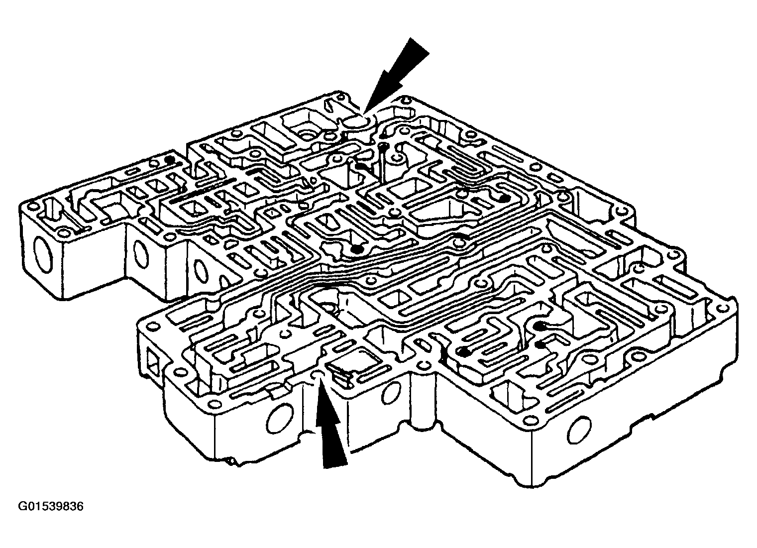 G01539836