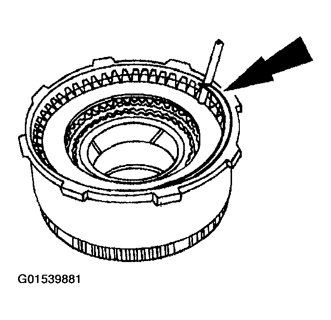 G01539881