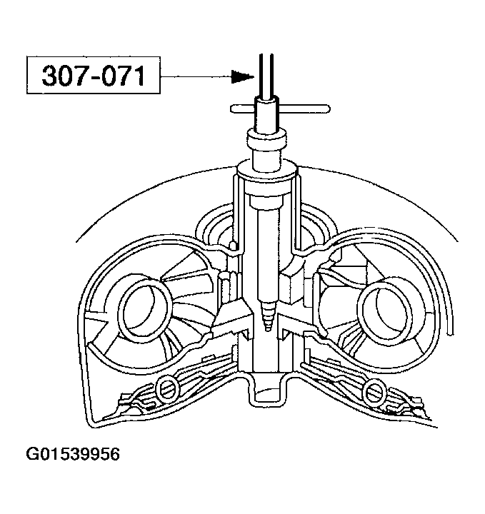 G01539956