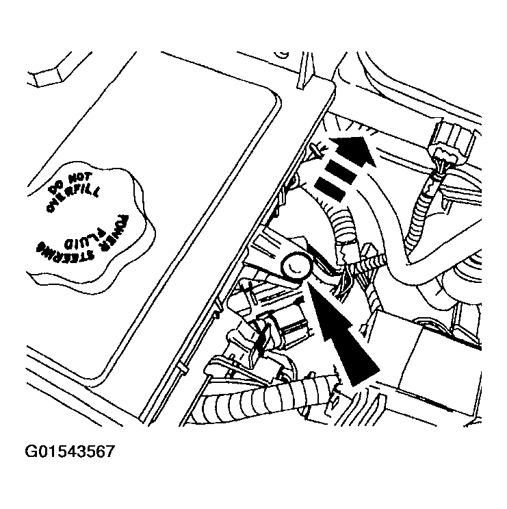 G01543567