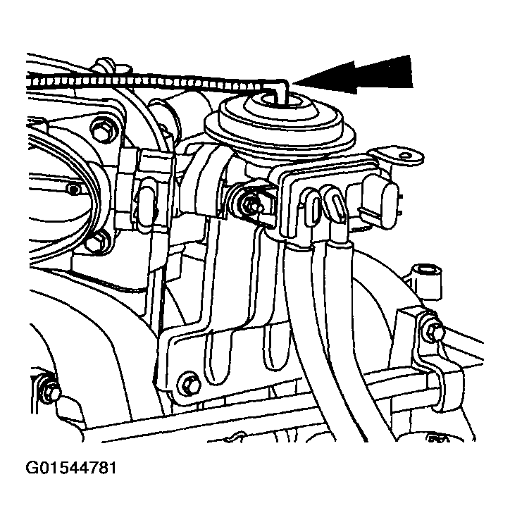 G01544781