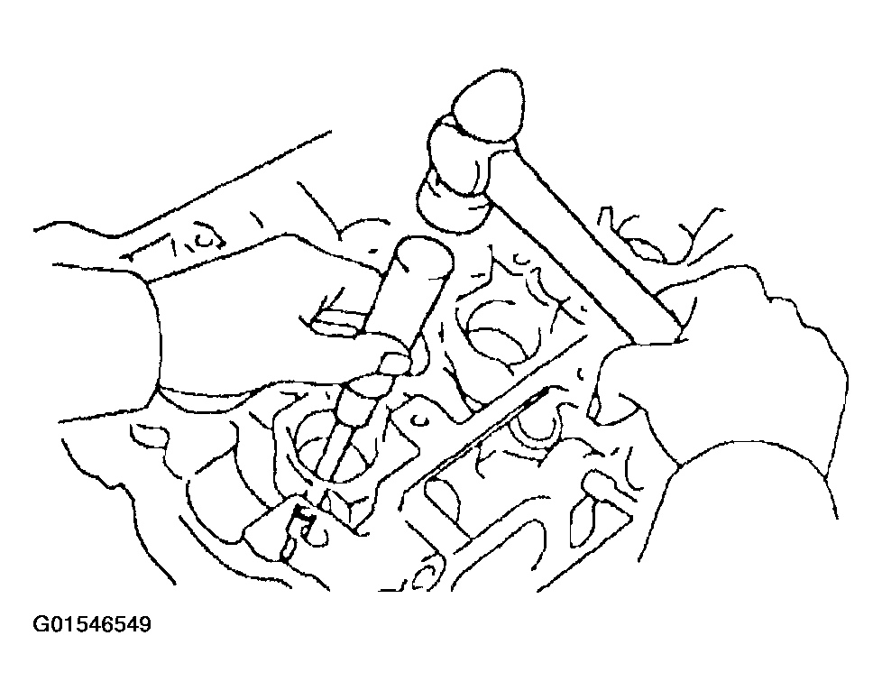 G01546549
